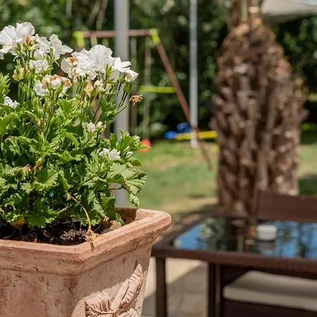 Affittacamere Tavolara 4*