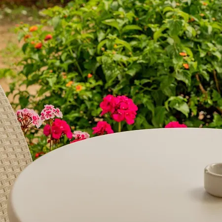 Tavolara Affittacamere