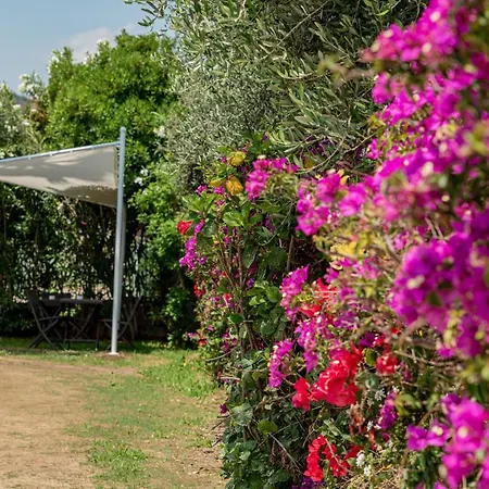 Tavolara Guest house